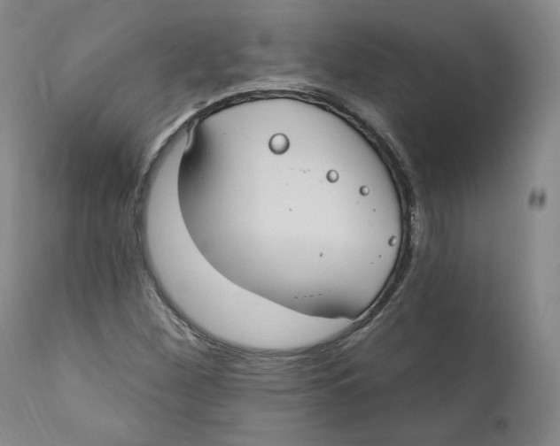 X0000110921260200907091448