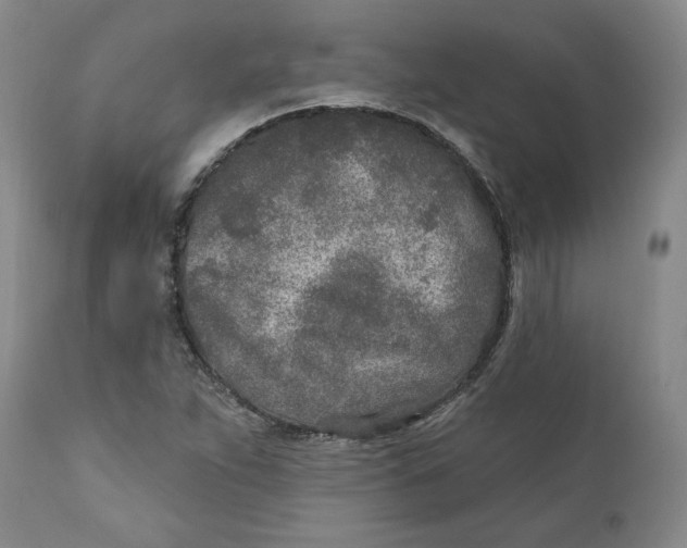 X0000110921263200907091448