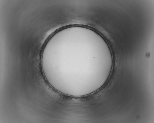 X0000110921264200907091448