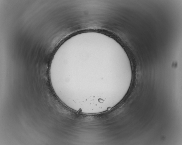 X0000110921265200907091448
