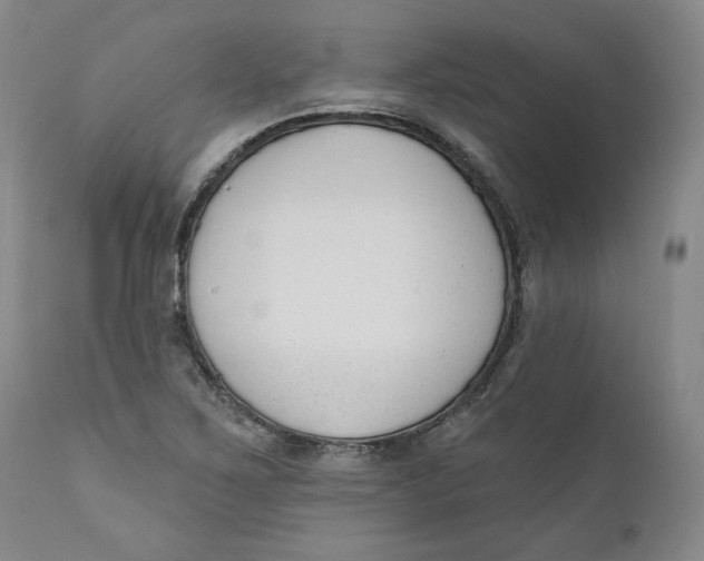 X0000110921267200907091448