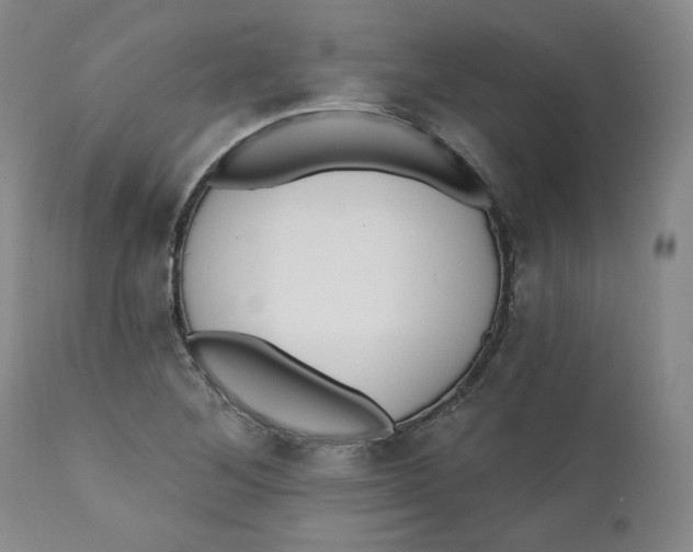 X0000110921268200907091448