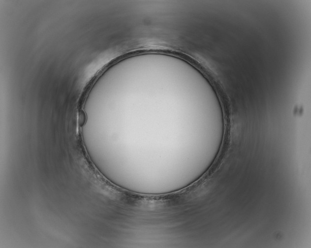 X0000110921269200907091448