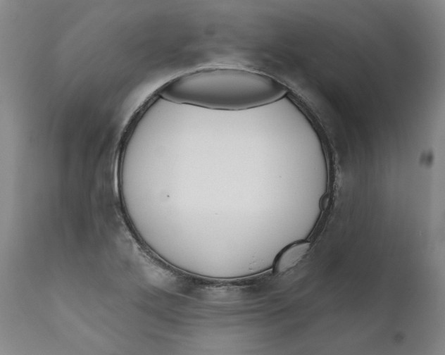 X0000110921272200907091448