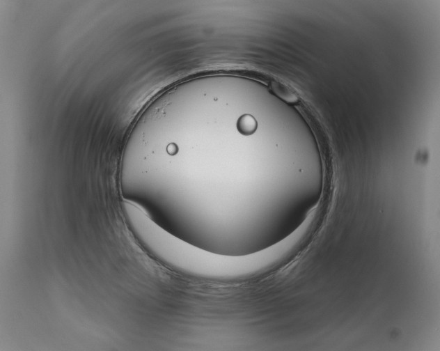 X0000110921273200907091448