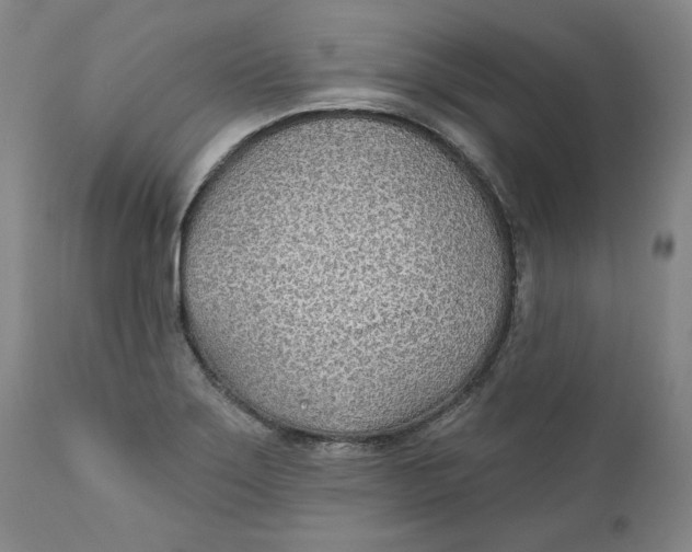 X0000110921275200907091448