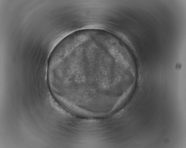 X0000110921276200907091448