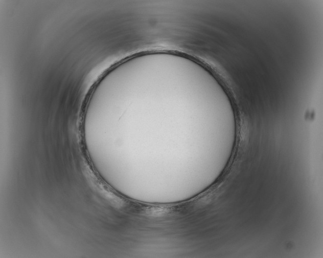 X0000110921278200907091448