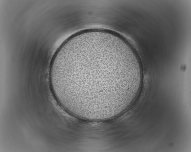 X0000110921279200907091448