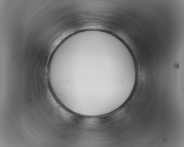 X0000110921282200907091448