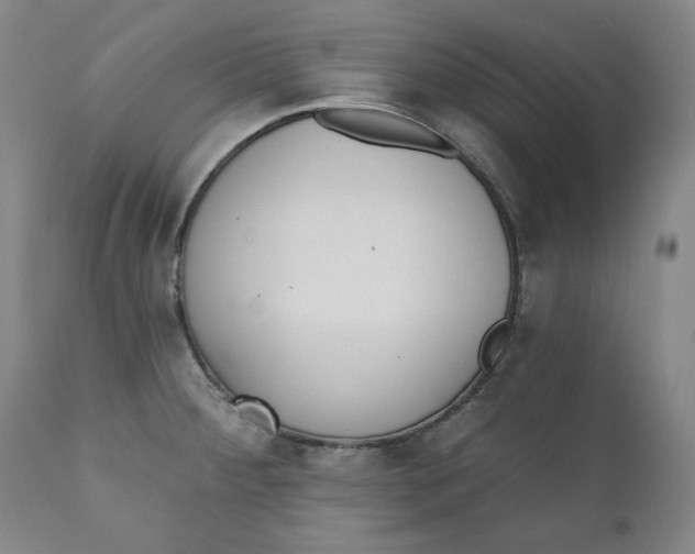 X0000110921284200907091448