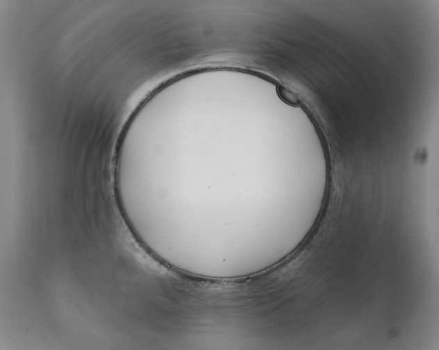 X0000110921288200907091448