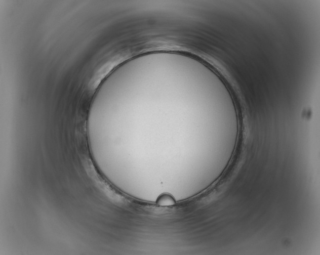 X0000110921289200907091448