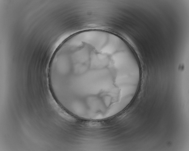 X0000110921291200907091448