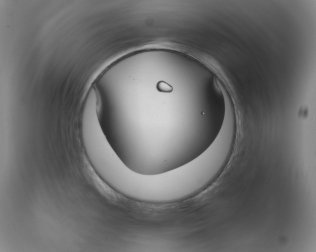 X0000110921292200907091448
