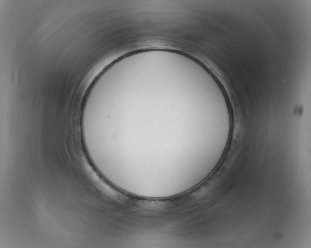 X0000110921293200907091448
