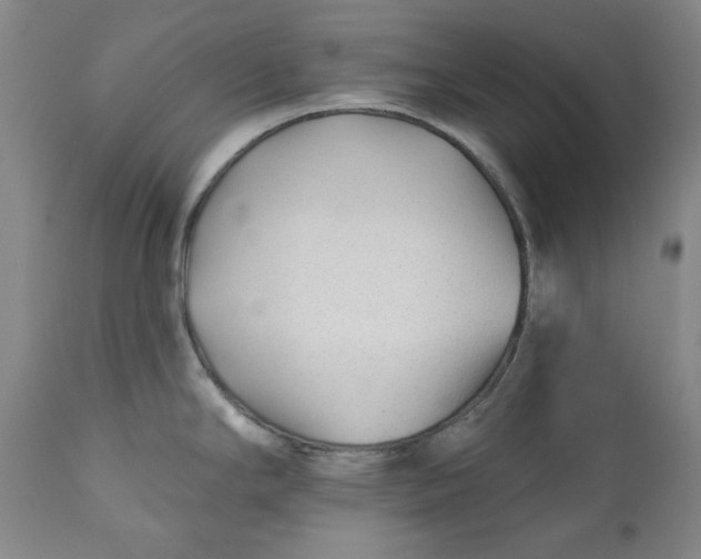 X0000110921294200907091448