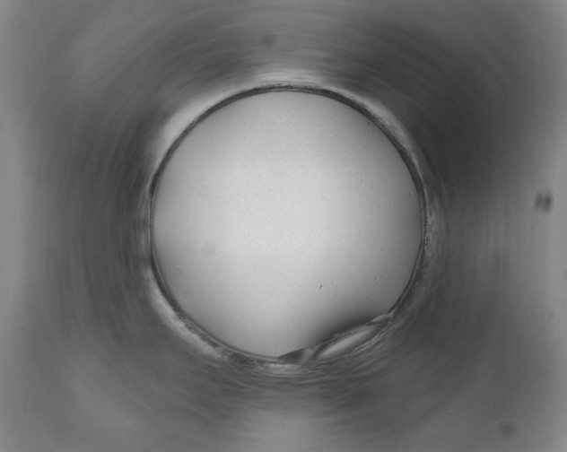 X0000110921295200907091448