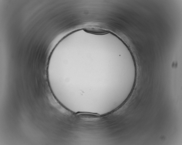 X0000110921296200907091448