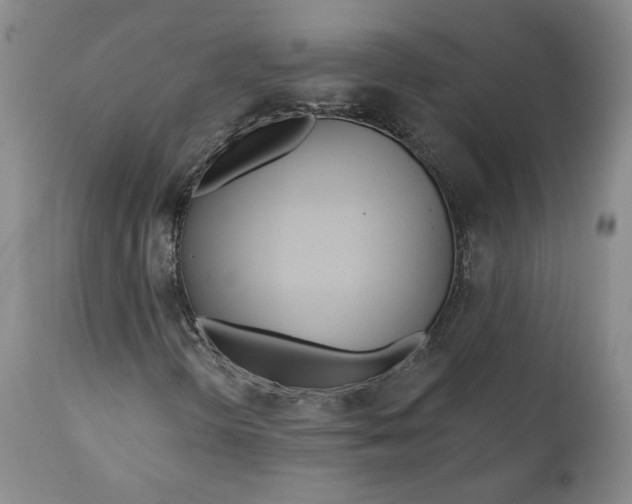 X0000110921298200907091447