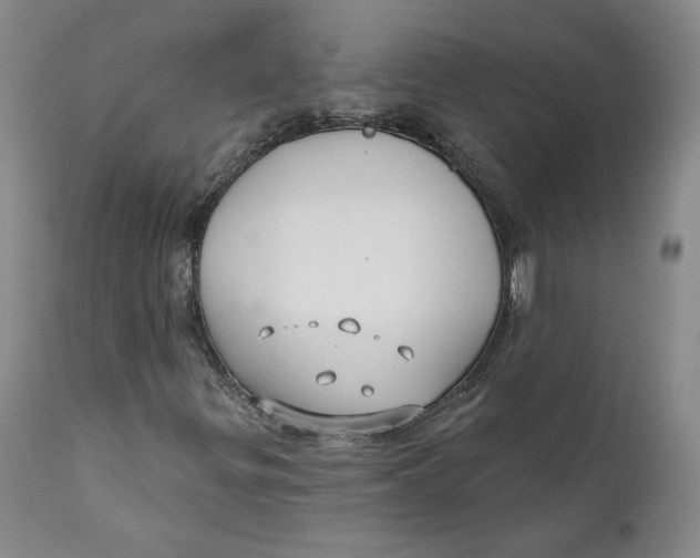 X0000110921299200907091447