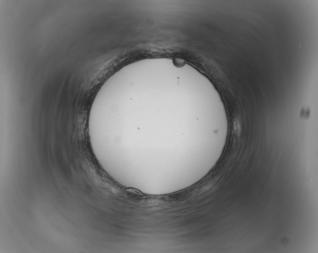 X0000110921300200907091447