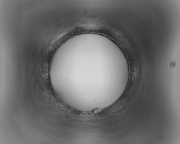 X0000110921301200907091447
