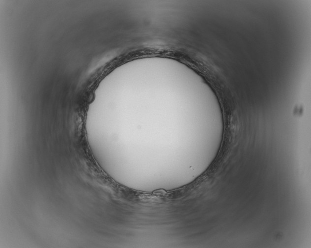 X0000110921302200907091447