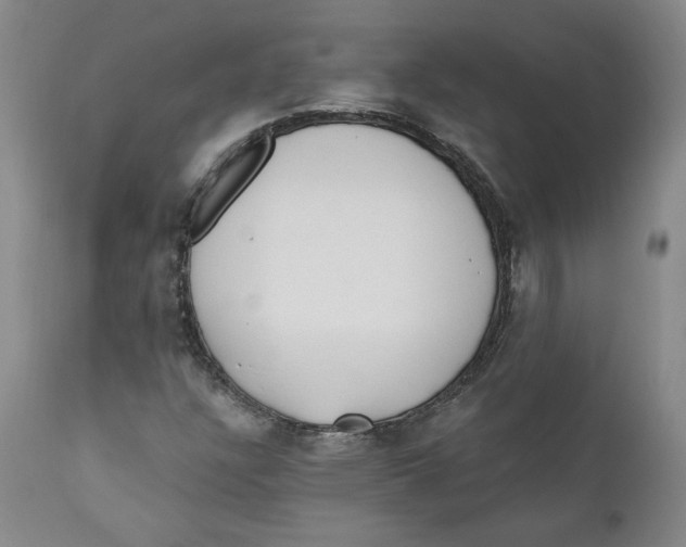 X0000110921304200907091447