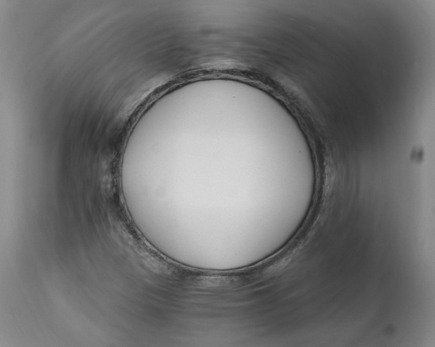 X0000110921305200907091447