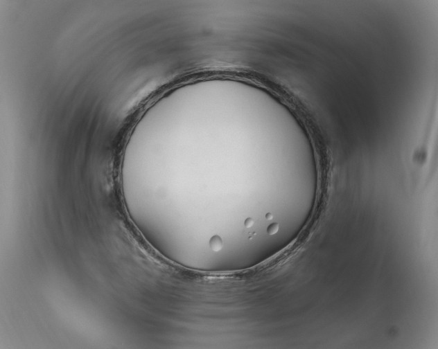 X0000110921306200907091447