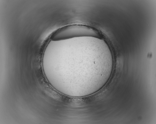 X0000110921310200907091447