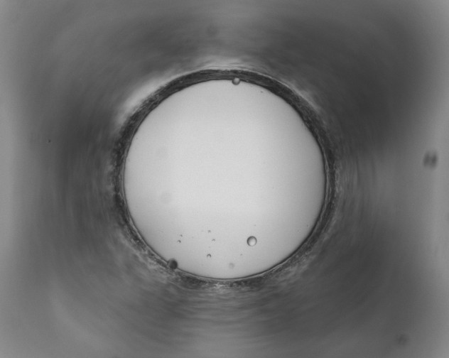 X0000110921311200907091447