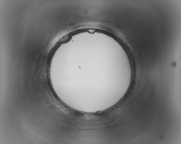 X0000110921312200907091447