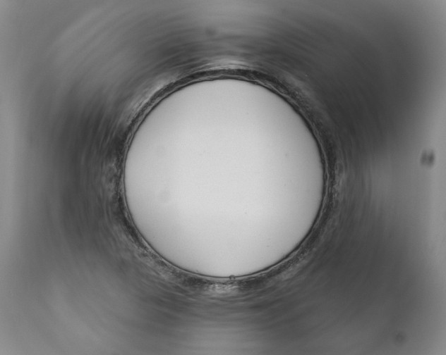 X0000110921313200907091447