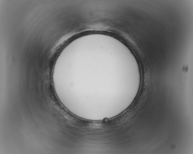 X0000110921315200907091447