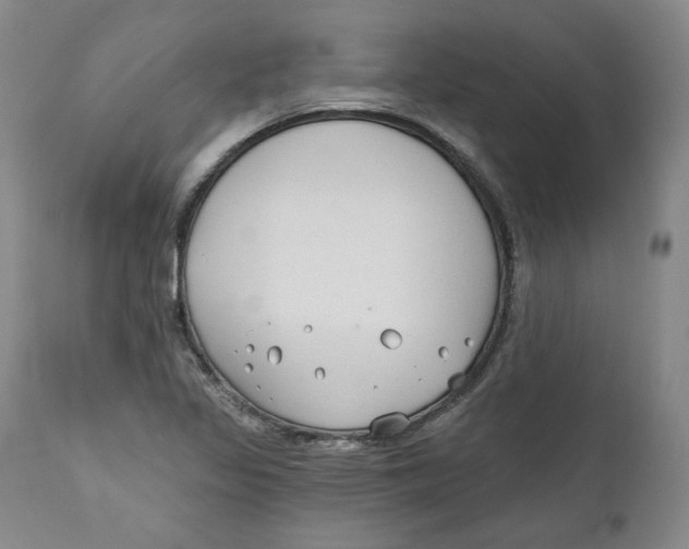 X0000110921317200907091447