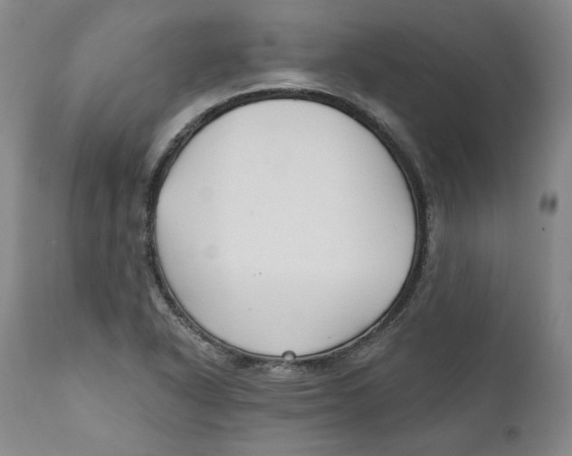 X0000110921318200907091447