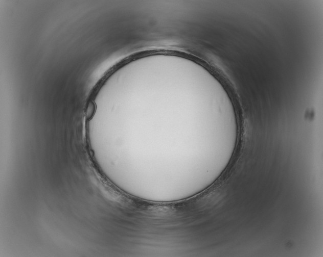X0000110921320200907091447
