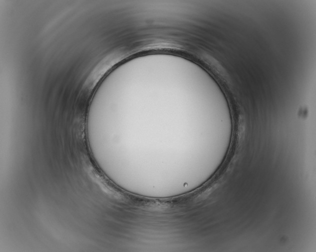 X0000110921321200907091447