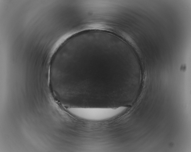 X0000110921323200907091447