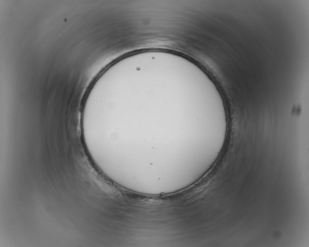 X0000110921324200907091447