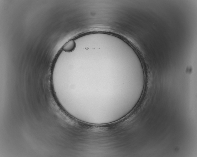 X0000110921325200907091447