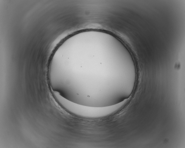 X0000110921326200907091447