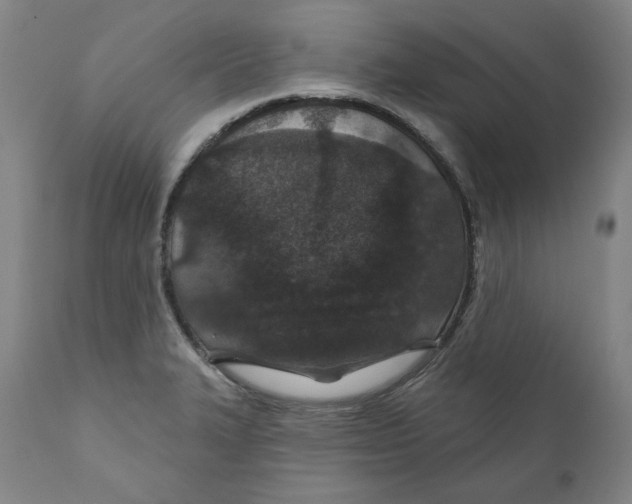 X0000110921327200907091447