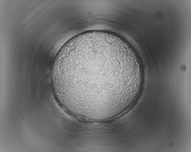 X0000110921329200907091447