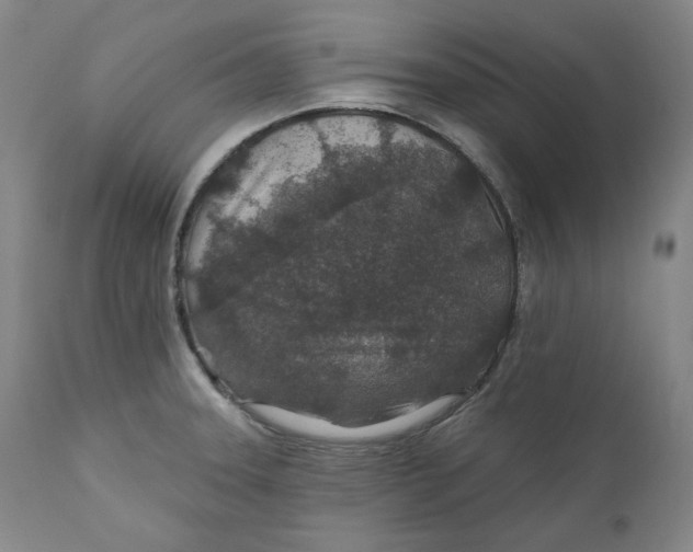 X0000110921331200907091448
