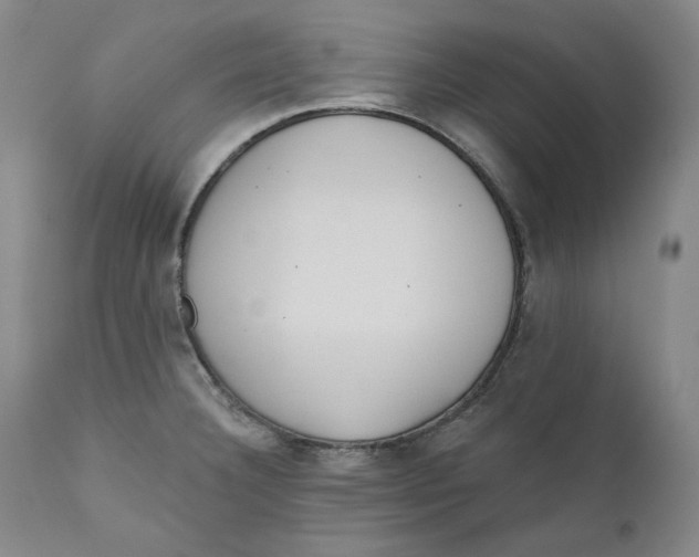 X0000110921332200907091448