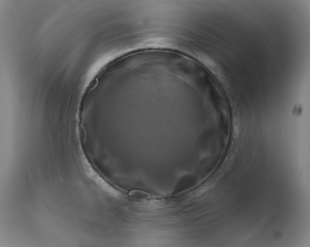 X0000110921334200907091448