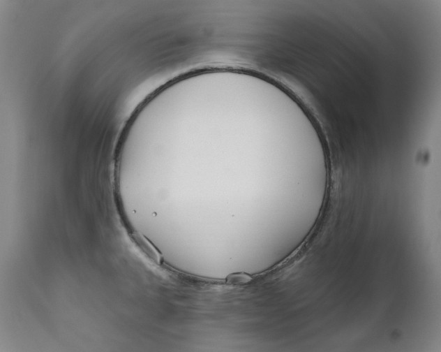X0000110921335200907091448